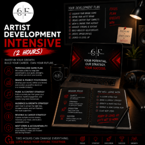 Artist Development Intensive (2 Hours)