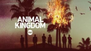 Animal Kingdom